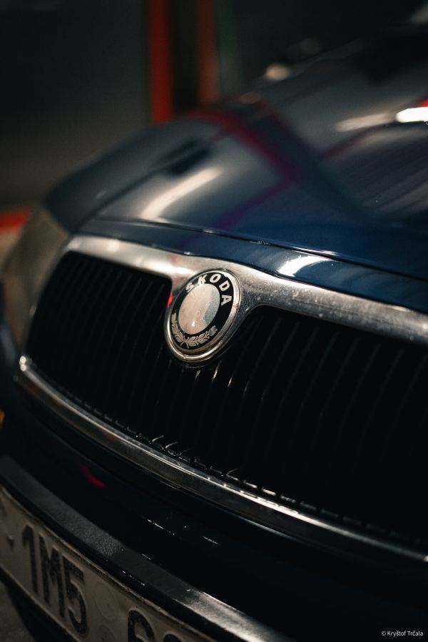 25FEB10_FABIA